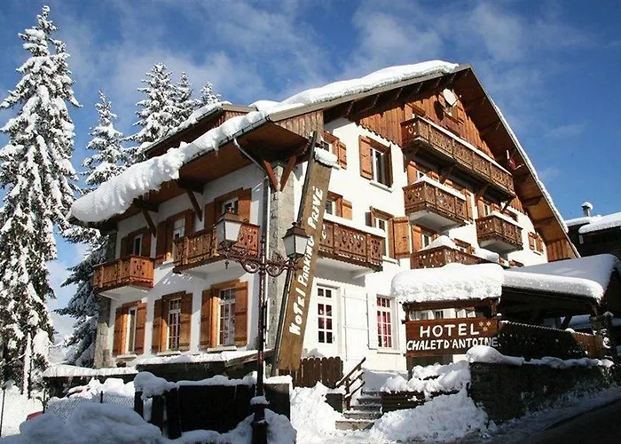 Le D'antoine - Centre De Hotel